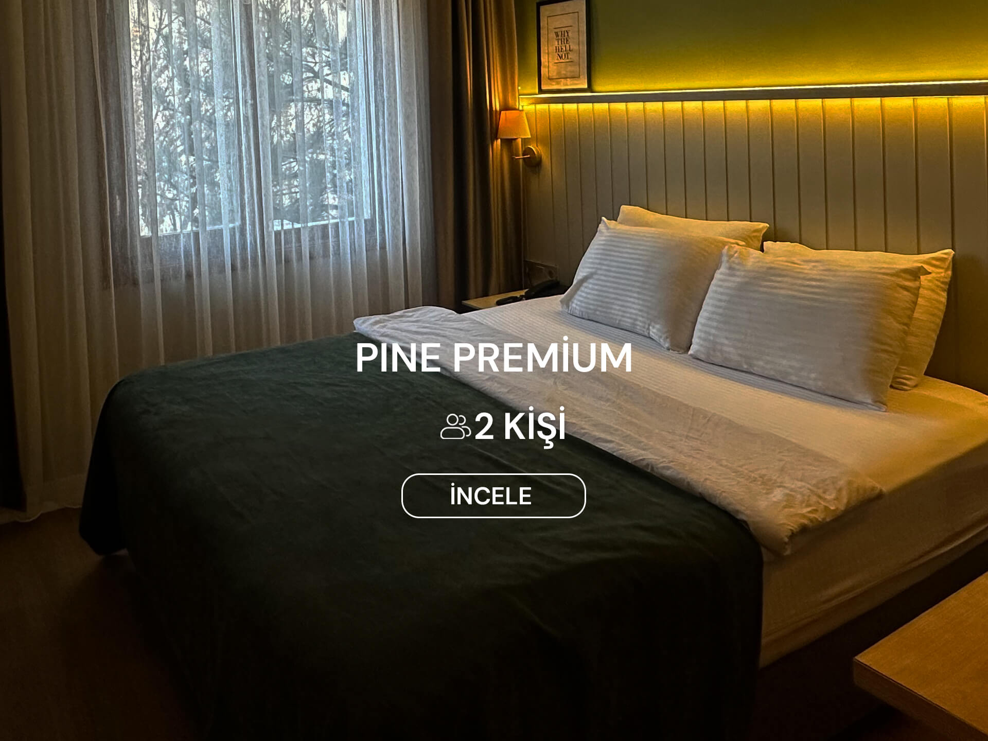 pine-premium